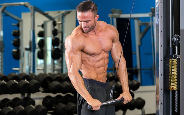 Các bài tập Gym giảm cân cho nam giới hiệu quả nhất