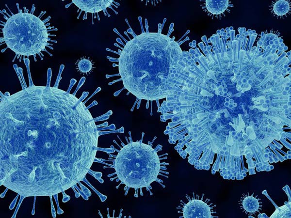 Cận cảnh virus gây bệnh sốt siêu vi