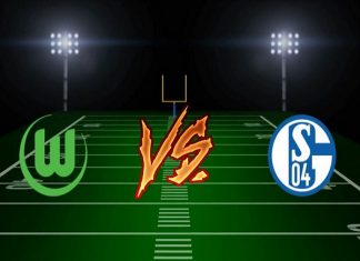 Nhận định Wolfsburg vs Schalke, 2h30 ngày 19/12