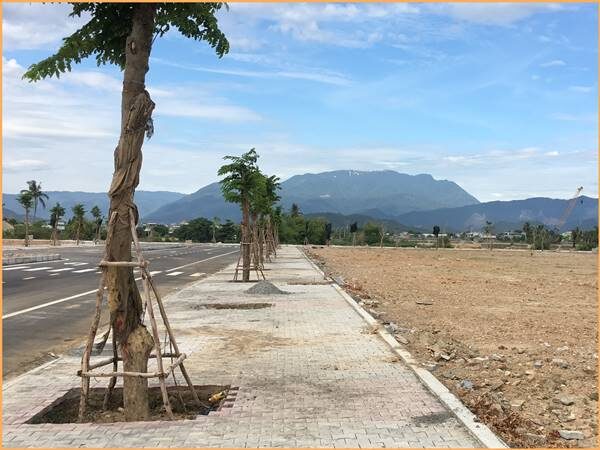 Có nên mua đất Đà Nẵng thời điểm này?