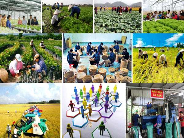 Giải pháp phát triển kinh tế tập thể, hợp tác xã hiện nay