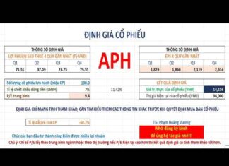 Đánh giá cổ phiếu APH