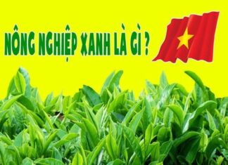 Nông nghiệp xanh là gì