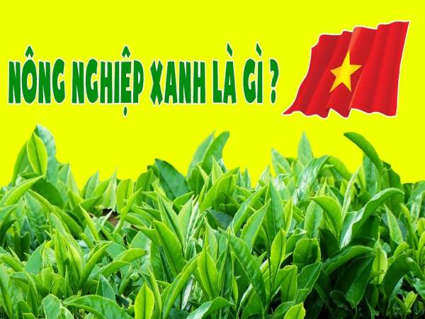 Nông nghiệp xanh là gì