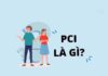 chỉ số pci là gì