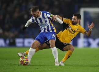 Nhận định bóng đá Wolves vs Brighton: 21h00 ngày 19/8