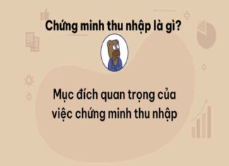 Chứng minh thu nhập là gì? Chứng minh thu nhập có ý nghĩa gì? chứng minh thu nhập là gì