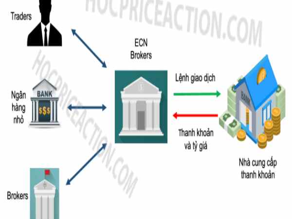 Nhược Điểm của Tài Khoản ECN: