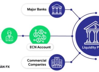 True ecn là gì? Top nhà môi giới ECN tốt nhất hiện nay