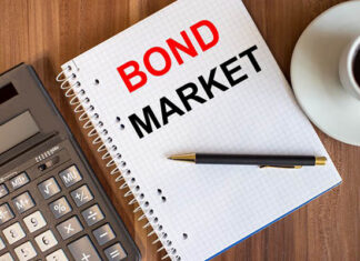 Nên đầu tư trái phiếu hay cổ phiếu?