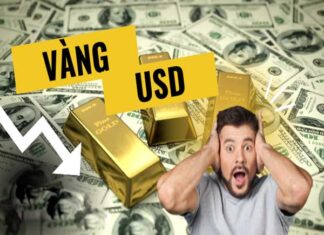 Yếu tố hình thành mối quan hệ giữa giá vàng và giá USD