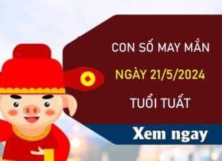 Con số may mắn tuổi Tuất 21/5/2024 trúng lớn trăm tỷ