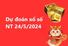 Dự đoán xổ số Ninh Thuận 24/5/2024