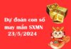 Dự đoán con số may mắn SXMN 23/5/2024