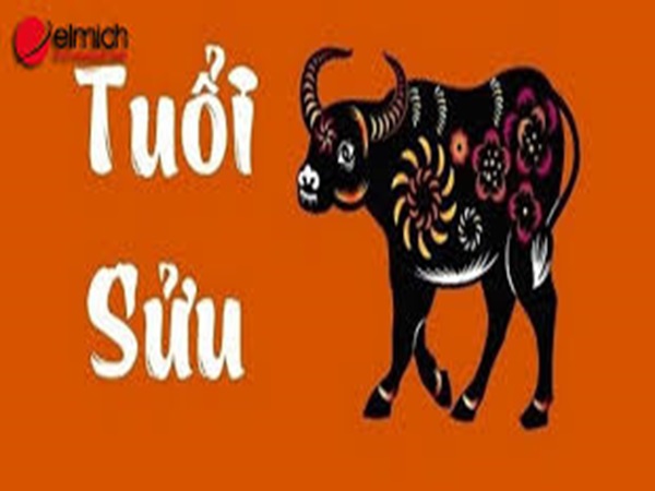 Con số may mắn tuổi Đinh Sửu hôm nay