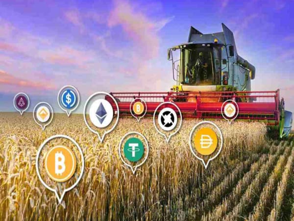 Những lưu ý giúp hạn chế rủi ro khi Farm Coin