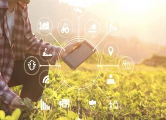 Farm coin là gì, cách thức hoạt động và rủi ro cần tránh