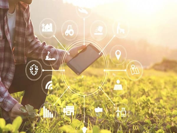 Farm Coin là gì?