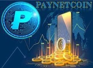 Paynet Coin là gì, những điều cần lưu ý khi đầu tư Paynet Coin