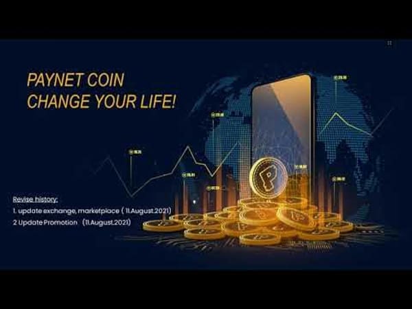 Những rủi ro có thể gặp phải khi đầu tư Paynet Coin là gì