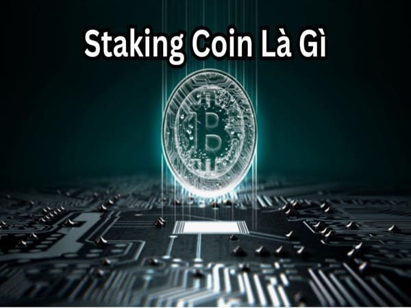 Staking Coin là gì hoạt động như thế nào ?