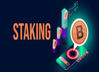 Staking Coin là gì, lợi ích và cách tối ưu hiệu quả