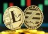 Litecoin là gì, đặc điểm và ứng dụng của Litecoin