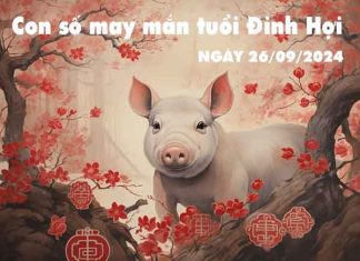 Nhận định con số may mắn tuổi Đinh Hợi ngày 26/9/2024 thứ 5 hôm nay