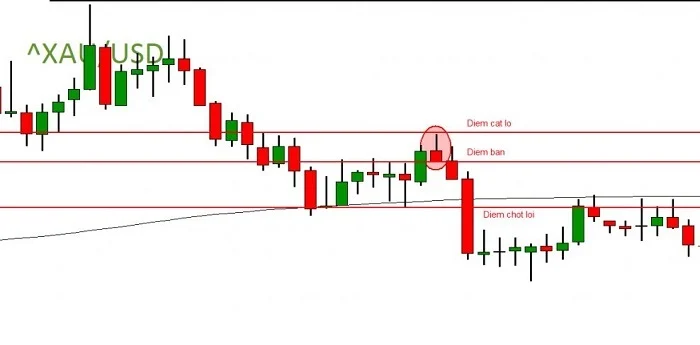 Kết hợp với Fibonacci Kết hợp với Fibonacci