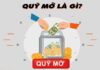 Quỹ Mở là gì, những lợi ích khi đầu tư quỹ mở