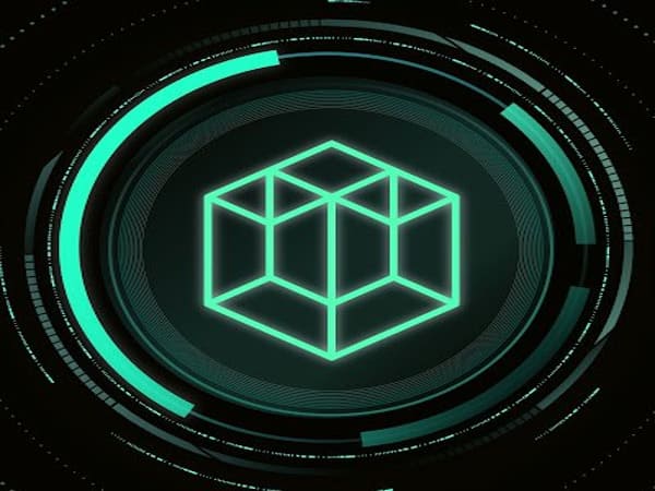 sakai coin là gì