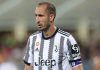 Tin Juventus 19/9: Chiellini chính thức trở lại CLB Juventus