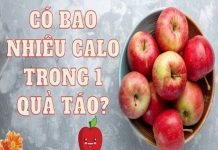 Trong 1 quả táo có bao nhiêu calo? Ăn táo có giảm cân không?