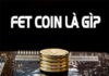 FET Coin là gì, cách mua và lưu trữ Fet Coin như thế nào