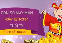 Con số tuổi Tý ngày 13/11/2024 số đẹp đón ngày mới