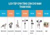 Các bài tập gym tăng cân cho nam