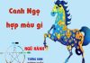 tuổi ngọ hợp màu gì