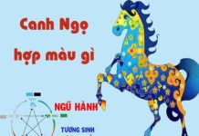 tuổi ngọ hợp màu gì