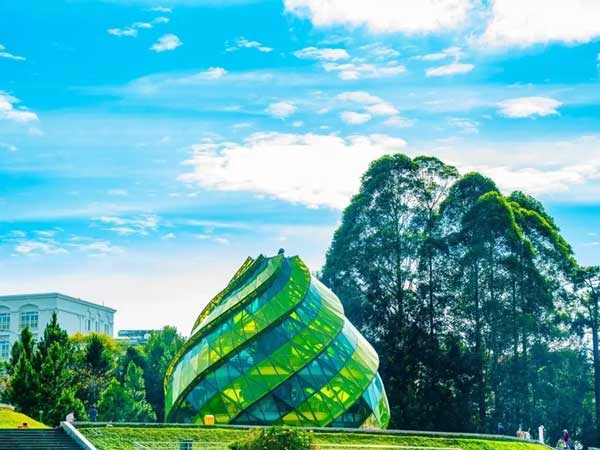 Đà Lạt là thành phố của sương mù và cảm xúc dịu dàng
