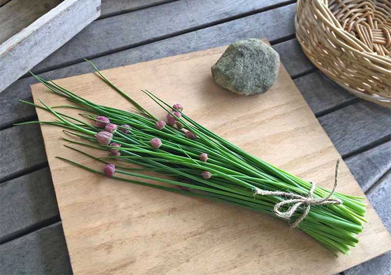 Cây hẹ – thảo dược bổ thận, tăng cường sinh lý