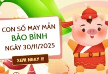 con số tài lộc cung Bảo Bình ngày 30/11/2025