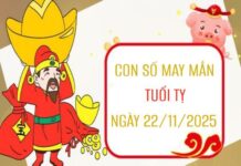 Con số may mắn tuổi Tỵ 22/11/2025 theo giải mã các giấc mơ đặc biệt 