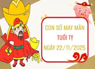Con số vàng giúp thu hút vận may tuổi Tỵ ngày 22/11/2025 Con số may mắn tuổi Tỵ 22/11/2025 theo giải mã các giấc mơ đặc biệt