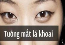 Tướng mắt lá khoai mang nhiều phúc khí, dễ gặp quý nhân mắt lá khoai