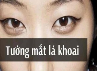 Tướng mắt lá khoai mang nhiều phúc khí, dễ gặp quý nhân mắt lá khoai