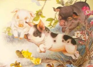 Hé lộ số phát tài tuổi Hợi 20/12/2025 dễ đón lộc lớn Hé lộ số phát tài tuổi Hợi 20/12/2025 dễ đón lộc lớn