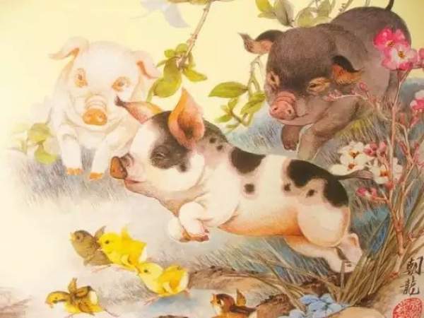 Hé lộ số phát tài tuổi Hợi 20/12/2025 dễ đón lộc lớn