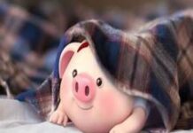 Xem con lợn số mấy trong dân gian và phong thủy Á Đông Xem con lợn số mấy trong dân gian và phong thủy Á Đông