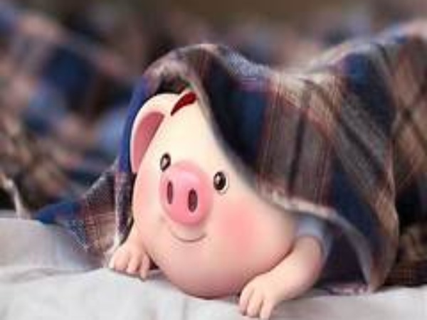 Con lợn số mấy theo quan niệm dân gian? Con lợn số mấy theo quan niệm dân gian?