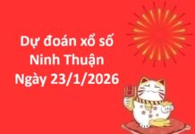 Dự đoán xổ số Ninh Thuận ngày 23 tháng 1